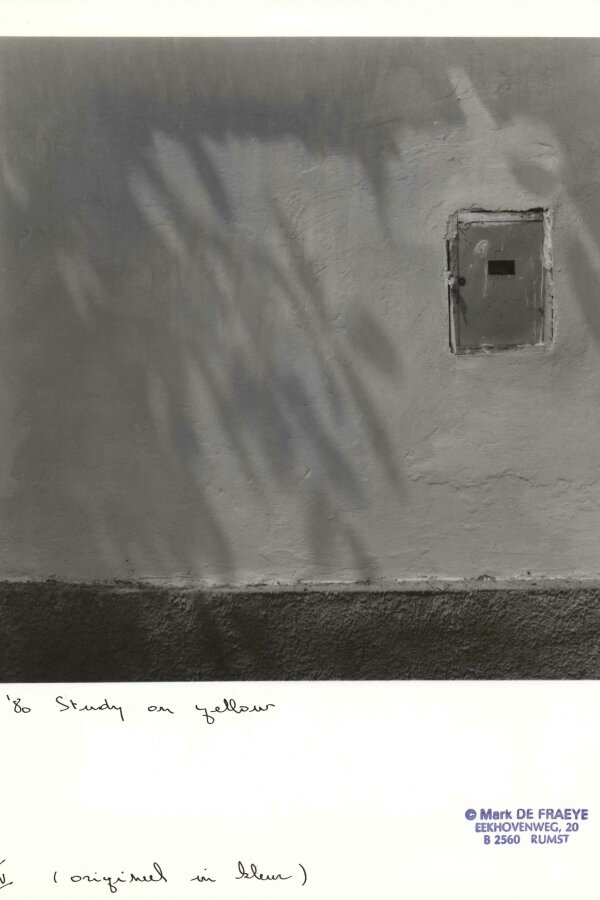 Mark De Fraeye, ´80 study on yellow